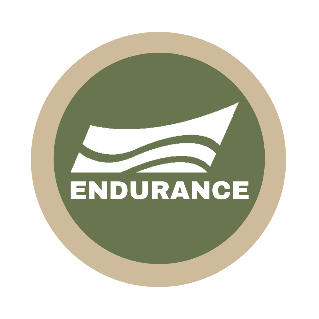 Icon of a stylized shape above the word endurance. The shape has to wave like parts to it