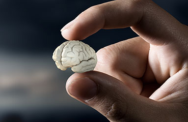 A small model of a brain held between two fingers