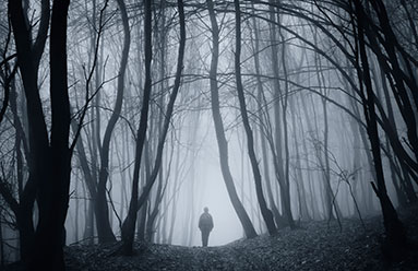 Man walking in woods that are covered in heavy fog